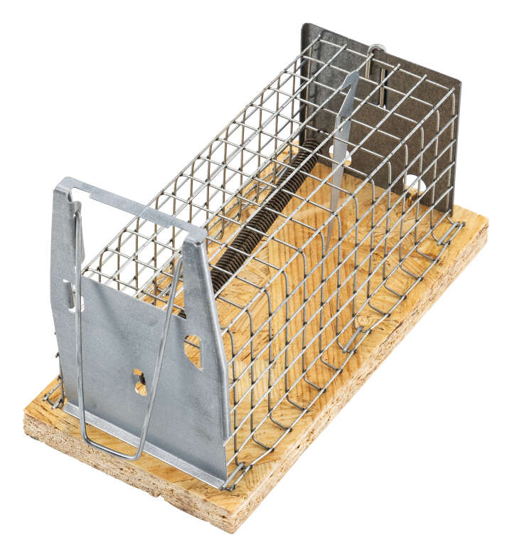 GÄRTNERGLÜCK Mause-Drahtkastenfalle